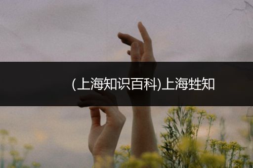 （上海知识百科)上海甡知