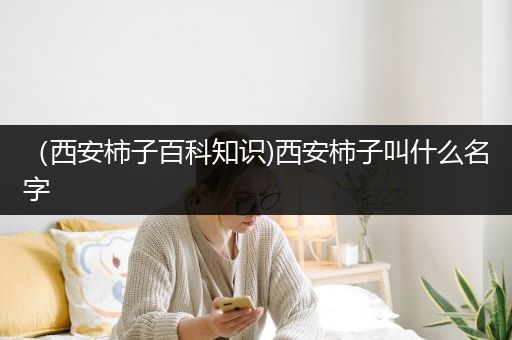 （西安柿子百科知识)西安柿子叫什么名字