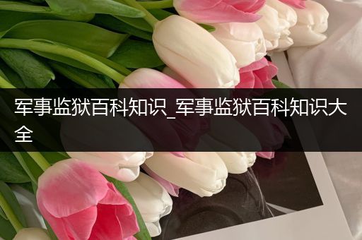 军事监狱百科知识_军事监狱百科知识大全