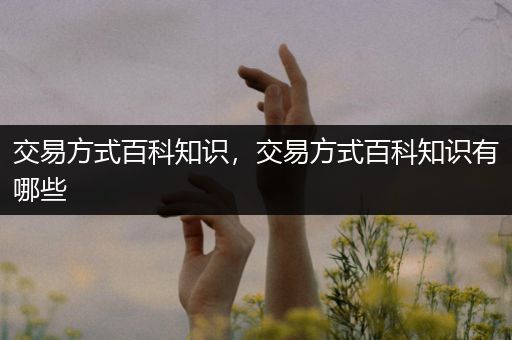 交易方式百科知识，交易方式百科知识有哪些