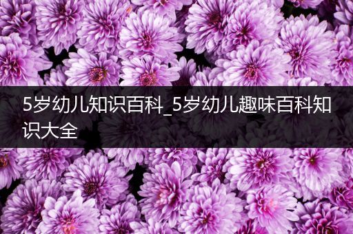 5岁幼儿知识百科_5岁幼儿趣味百科知识大全
