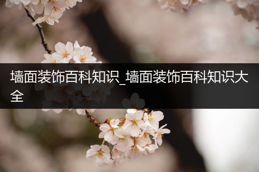 墙面装饰百科知识_墙面装饰百科知识大全