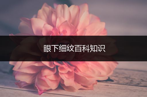 眼下细纹百科知识