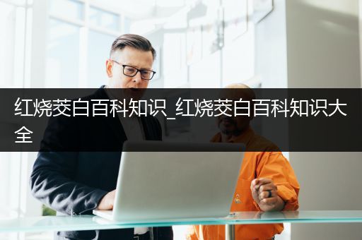红烧茭白百科知识_红烧茭白百科知识大全