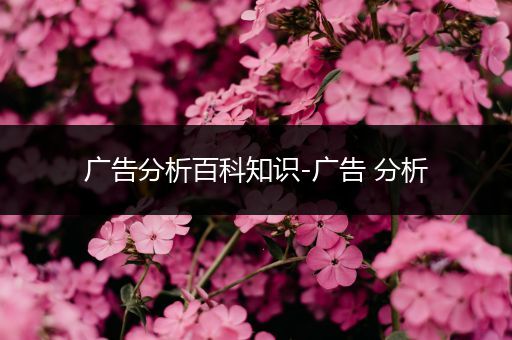 广告分析百科知识-广告 分析