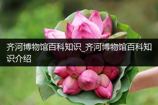 齐河博物馆百科知识_齐河博物馆百科知识介绍