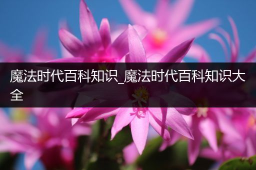 魔法时代百科知识_魔法时代百科知识大全