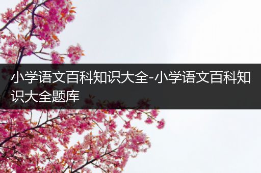 小学语文百科知识大全-小学语文百科知识大全题库
