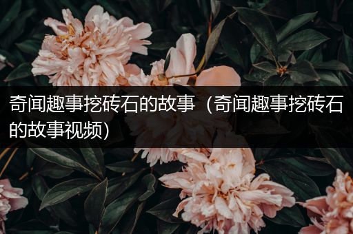 奇闻趣事挖砖石的故事（奇闻趣事挖砖石的故事视频）