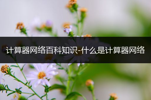 计算器网络百科知识-什么是计算器网络