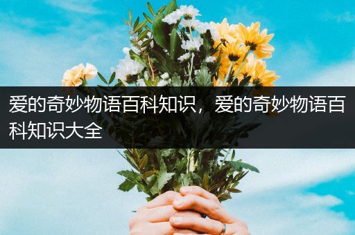 爱的奇妙物语百科知识，爱的奇妙物语百科知识大全