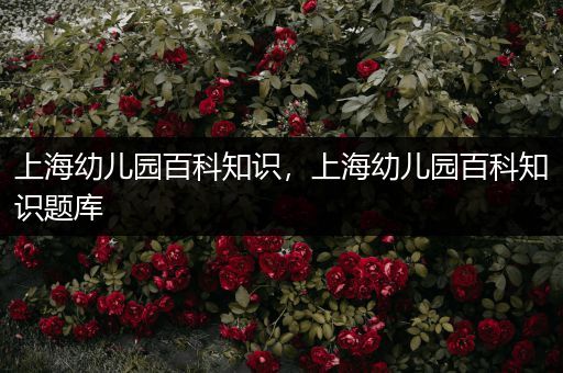 上海幼儿园百科知识，上海幼儿园百科知识题库