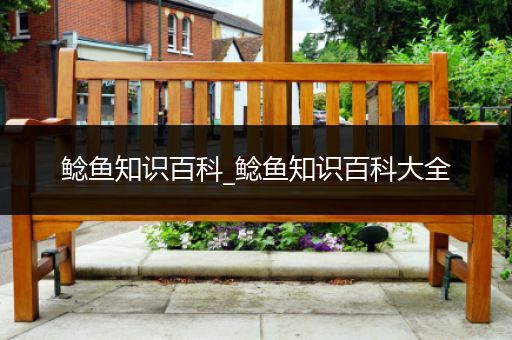 鲶鱼知识百科_鲶鱼知识百科大全