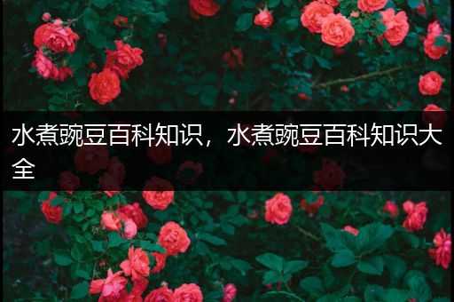 水煮豌豆百科知识，水煮豌豆百科知识大全