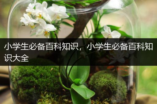 小学生必备百科知识，小学生必备百科知识大全