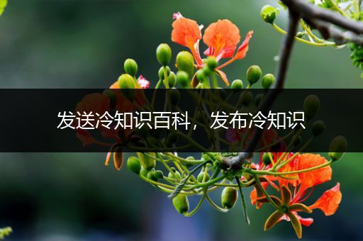 发送冷知识百科，发布冷知识