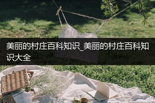 美丽的村庄百科知识_美丽的村庄百科知识大全