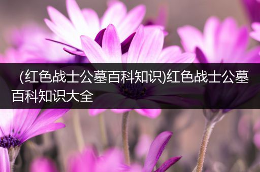（红色战士公墓百科知识)红色战士公墓百科知识大全