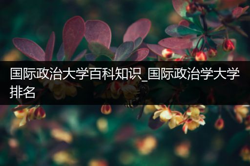 国际政治大学百科知识_国际政治学大学排名