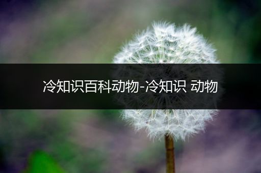 冷知识百科动物-冷知识 动物