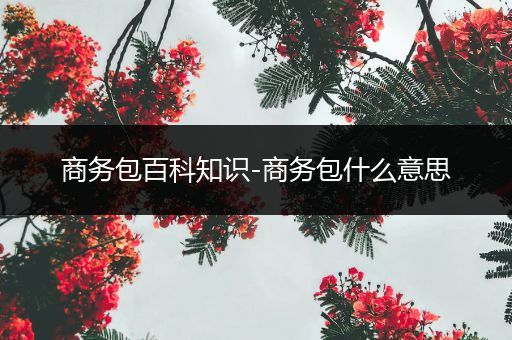 商务包百科知识-商务包什么意思