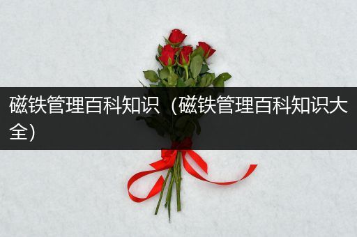 磁铁管理百科知识（磁铁管理百科知识大全）