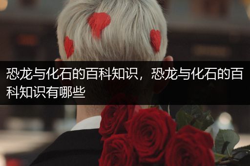 恐龙与化石的百科知识，恐龙与化石的百科知识有哪些