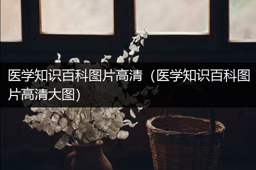 医学知识百科图片高清（医学知识百科图片高清大图）