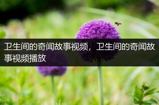 卫生间的奇闻故事视频，卫生间的奇闻故事视频播放