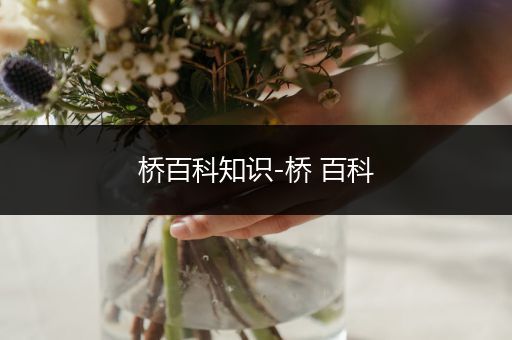 桥百科知识-桥 百科