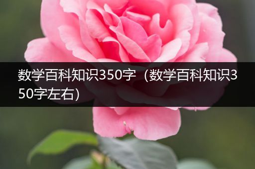 数学百科知识350字（数学百科知识350字左右）