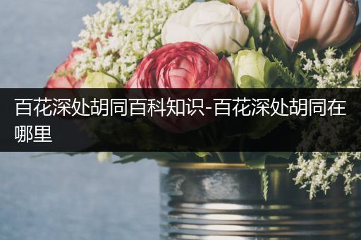 百花深处胡同百科知识-百花深处胡同在哪里