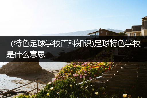 （特色足球学校百科知识)足球特色学校是什么意思