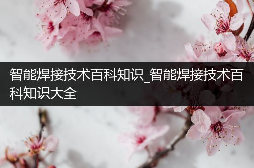 智能焊接技术百科知识_智能焊接技术百科知识大全