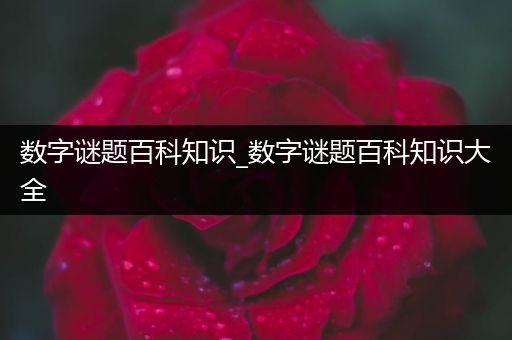 数字谜题百科知识_数字谜题百科知识大全