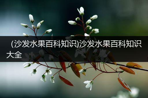 （沙发水果百科知识)沙发水果百科知识大全