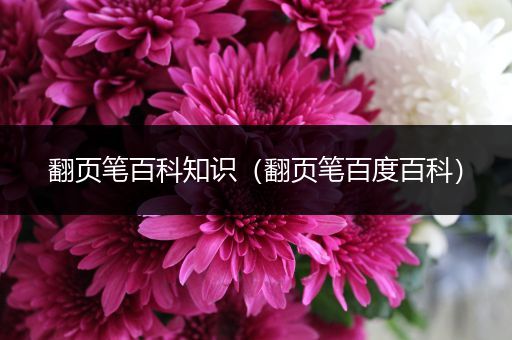 翻页笔百科知识（翻页笔百度百科）