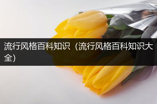 流行风格百科知识（流行风格百科知识大全）
