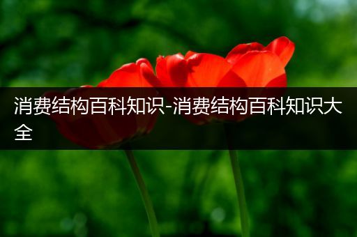 消费结构百科知识-消费结构百科知识大全