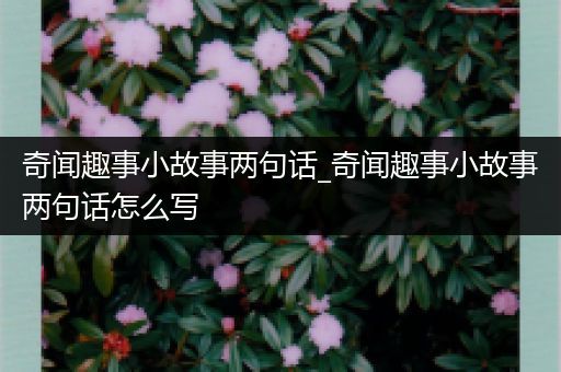 奇闻趣事小故事两句话_奇闻趣事小故事两句话怎么写