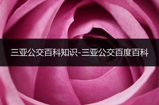三亚公交百科知识-三亚公交百度百科
