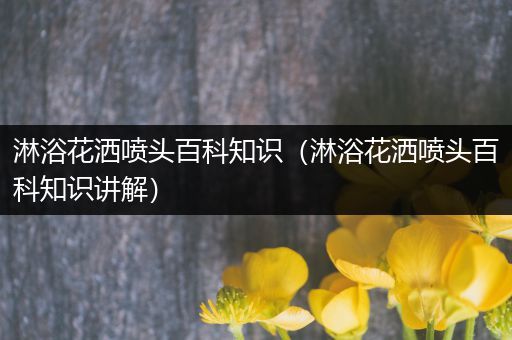 淋浴花洒喷头百科知识（淋浴花洒喷头百科知识讲解）
