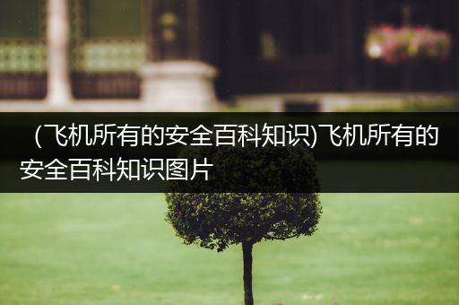 （飞机所有的安全百科知识)飞机所有的安全百科知识图片