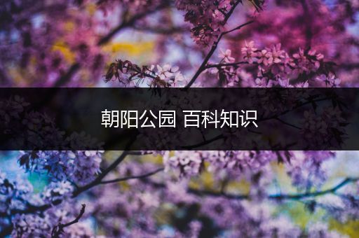 朝阳公园 百科知识