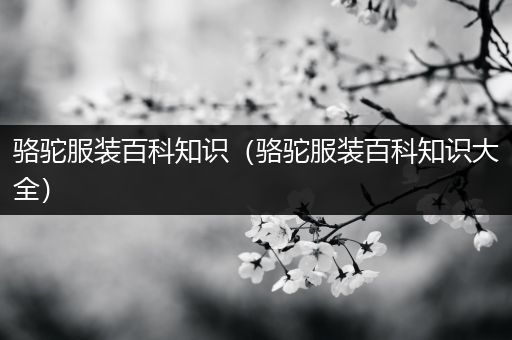 骆驼服装百科知识（骆驼服装百科知识大全）