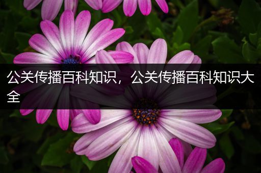 公关传播百科知识，公关传播百科知识大全
