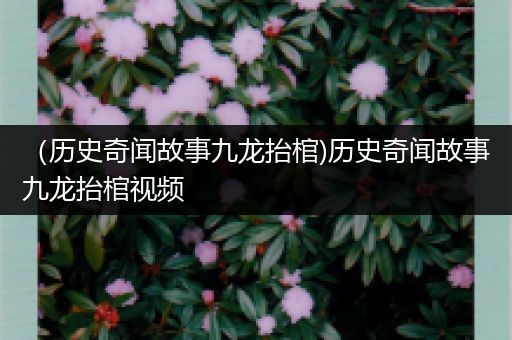 （历史奇闻故事九龙抬棺)历史奇闻故事九龙抬棺视频