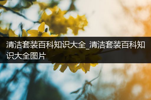清洁套装百科知识大全_清洁套装百科知识大全图片