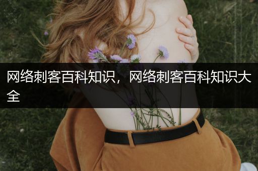 网络刺客百科知识，网络刺客百科知识大全