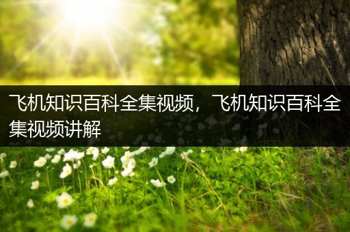 飞机知识百科全集视频，飞机知识百科全集视频讲解